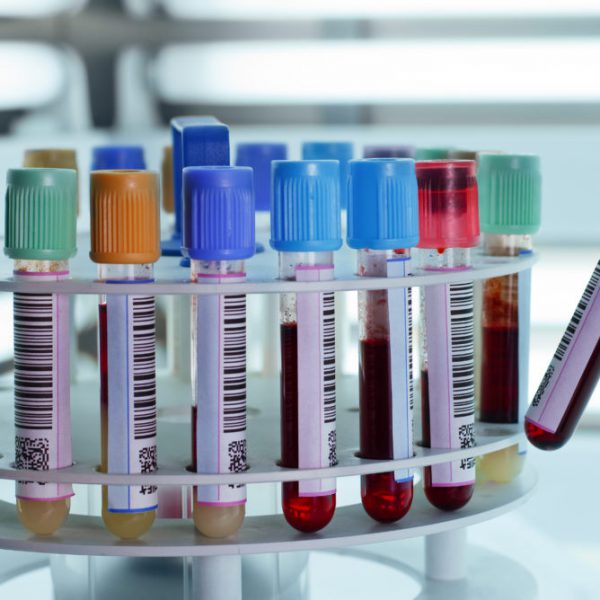Phlebotomy Medical Training Fort Lauderdale, FL Center for Career
